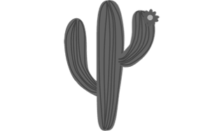 Cactus gray 350x206