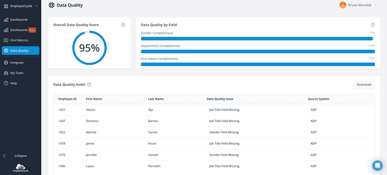 HR Data Quality Audit